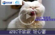 【60s學(xué)英語(yǔ)】APEC不放假，好心塞 